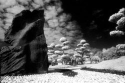 Brisbane Photography Courses - Beginners Photography Course